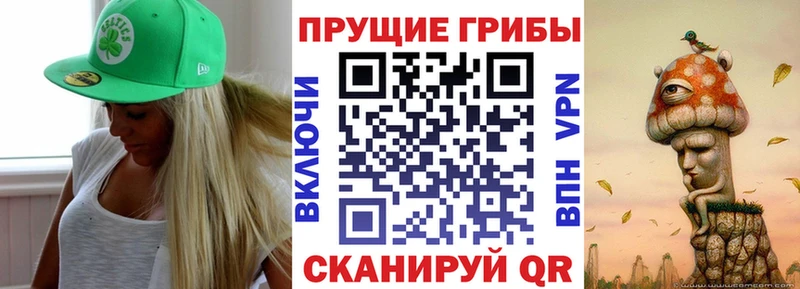 Псилоцибиновые грибы мицелий  кракен как зайти  Горячеводский 